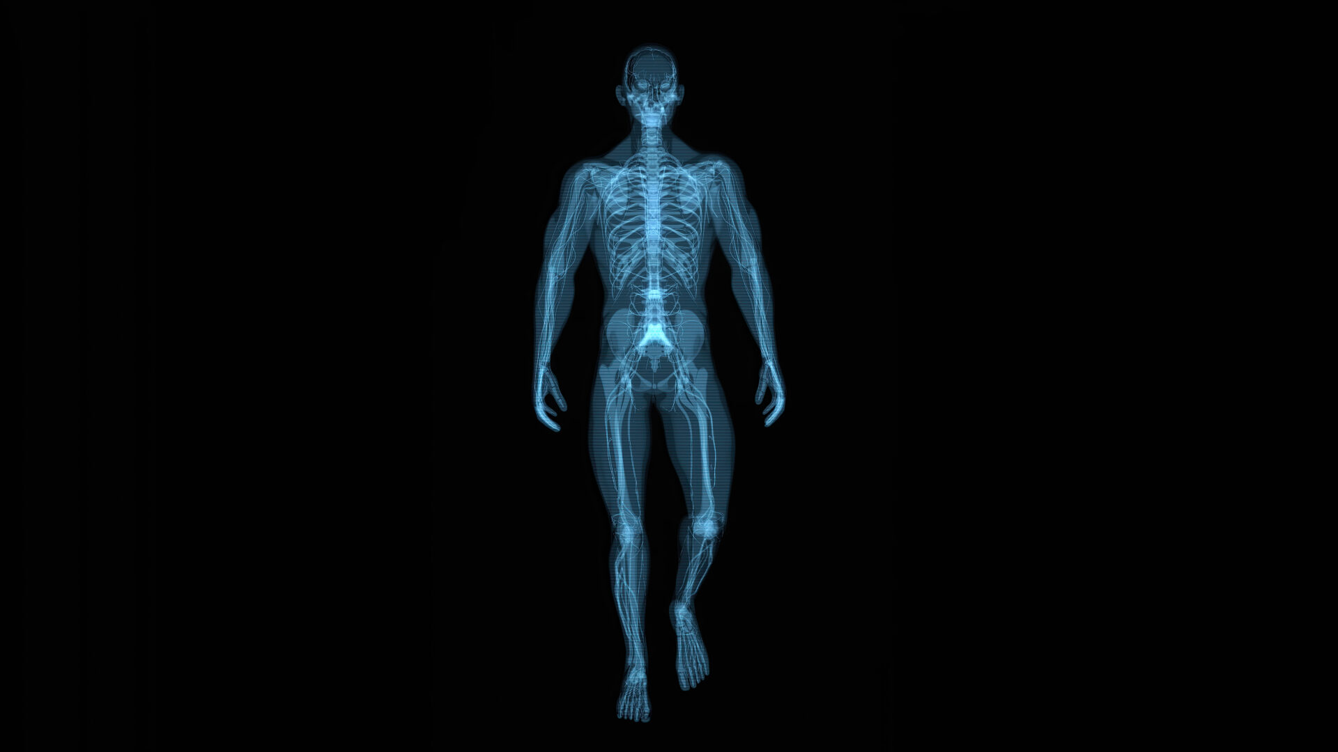 anatomy concept of a man with back pain