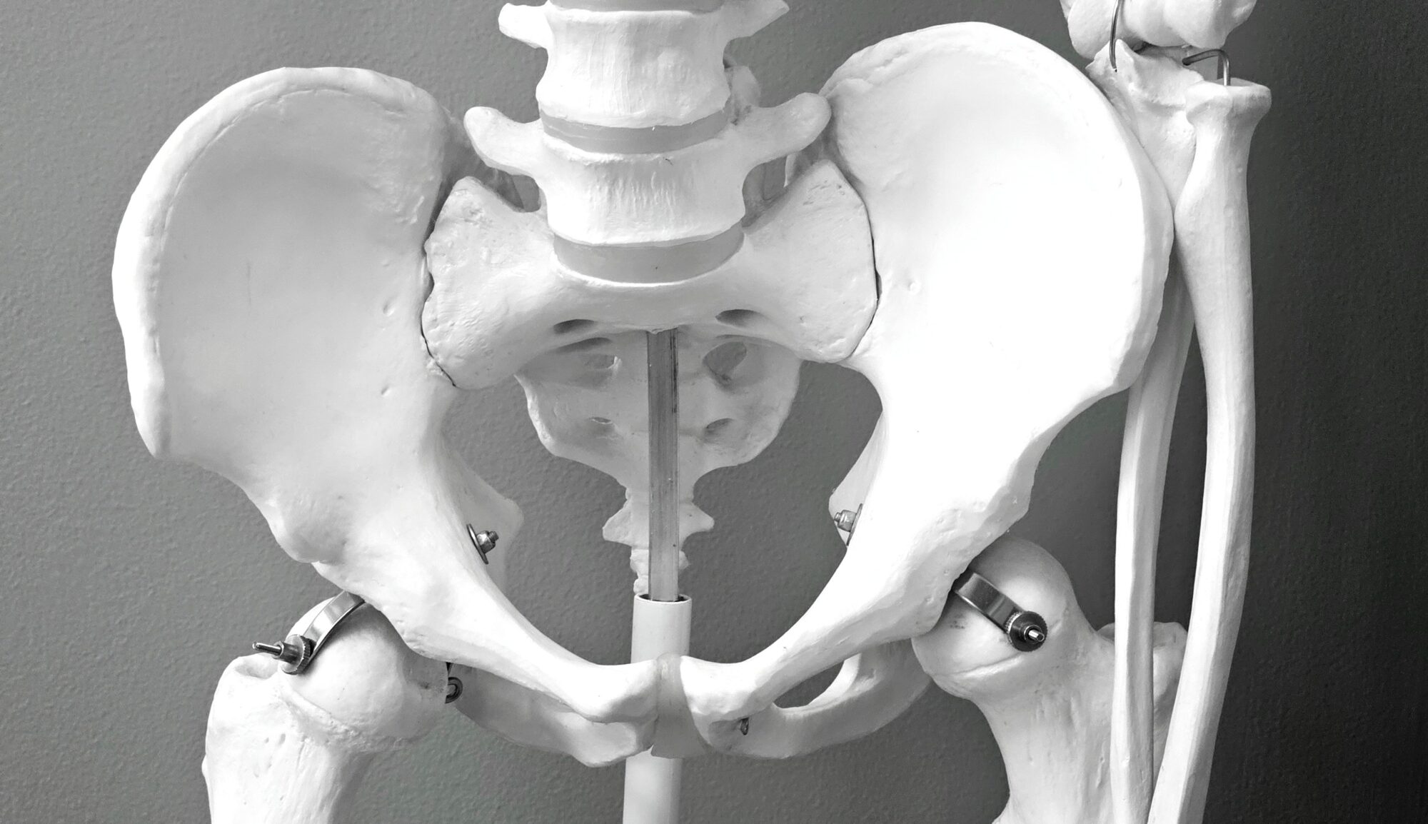 Michigan Surgery Specialists